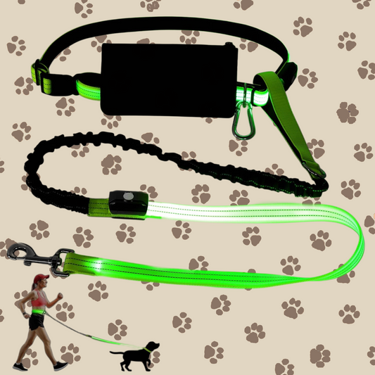 Glow Guard Leash