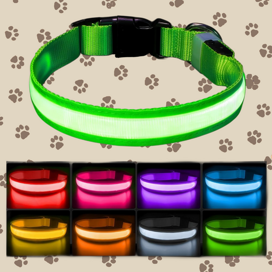 Glow Guard Collar